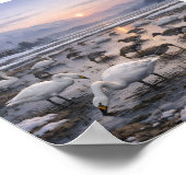 Poster Silent Waters – Swans and Geese in a Winter Field (Coin)