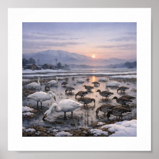 Poster Silent Waters – Swans and Geese in a Winter Field (Devant)