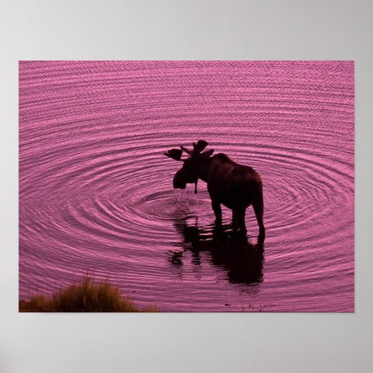 Poster Silhouette (Devant)