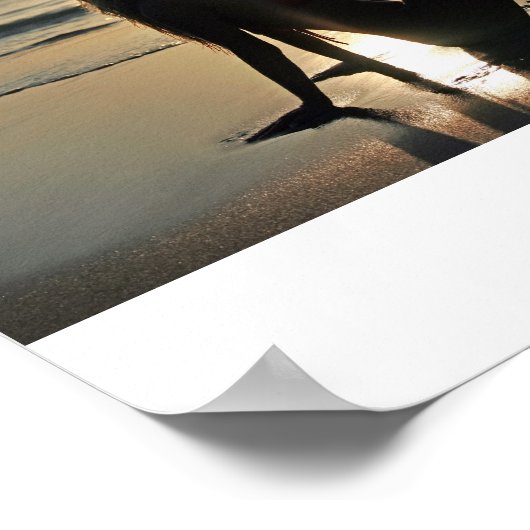 Poster Silhouette (Coin)