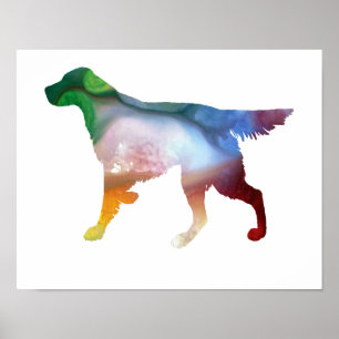 Poster Silhouette abstraite colorée de poseur