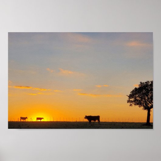 Poster Silhouette au coucher du soleil (Devant)