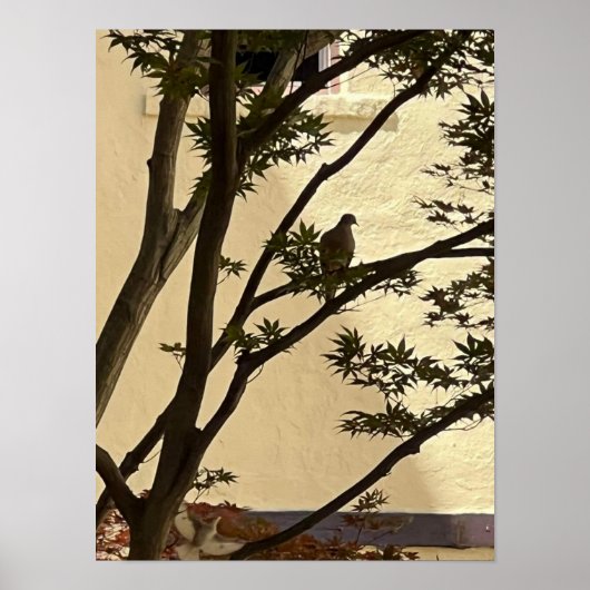 Poster Silhouette d'amour (Devant)