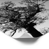 Poster Silhouette D'Arbre Noir Et Blanc Avec Coucher De S (Coin)