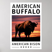 Poster Silhouette de bison au coucher du soleil (Devant)