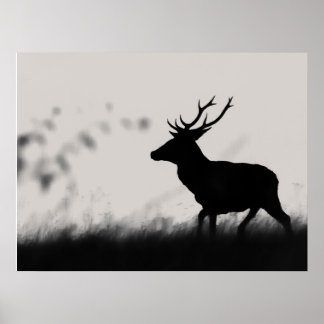 Poster Silhouette de cerf élaphe dans la brume – Noir et 