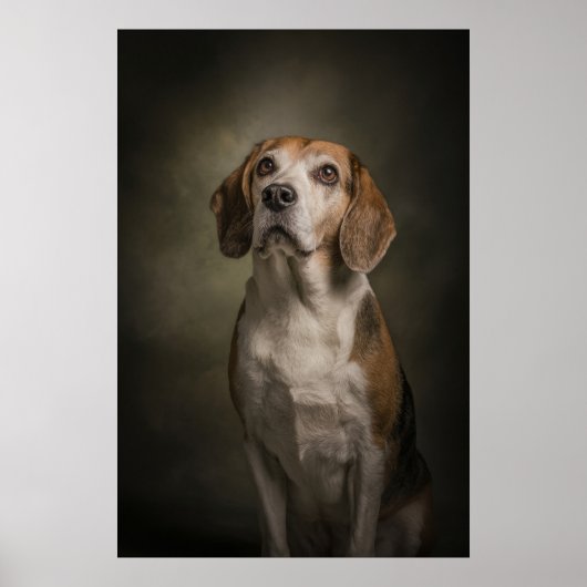 Poster Silhouette de chien élégant (Devant)