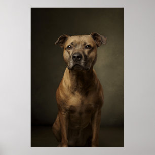 Poster Silhouette de chien élégant