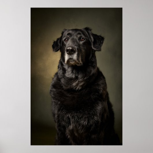 Poster Silhouette de chien élégant (Devant)