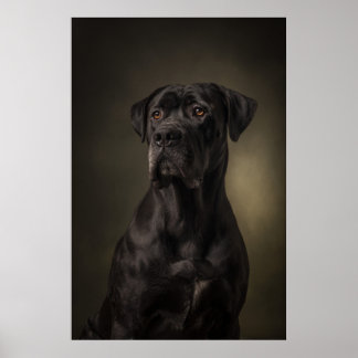 Poster Silhouette de chien élégant