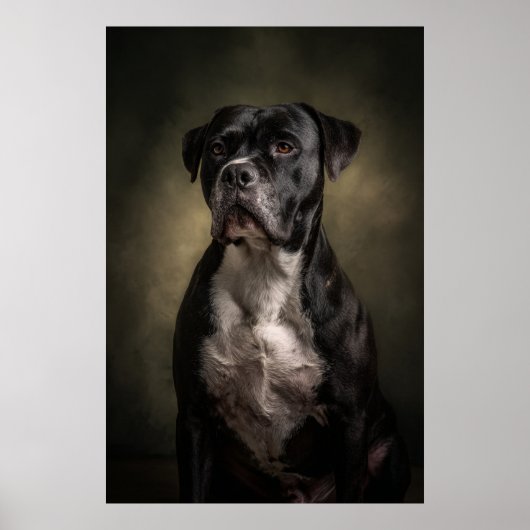 Poster Silhouette de chien élégant (Devant)