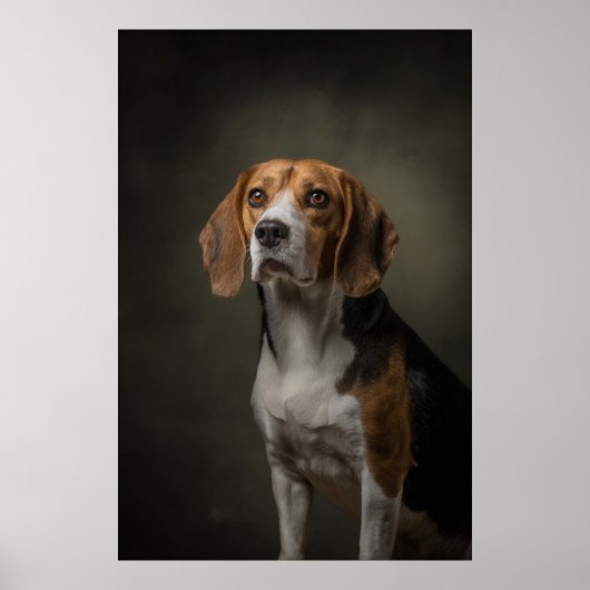 Poster Silhouette de chien élégant (Devant)