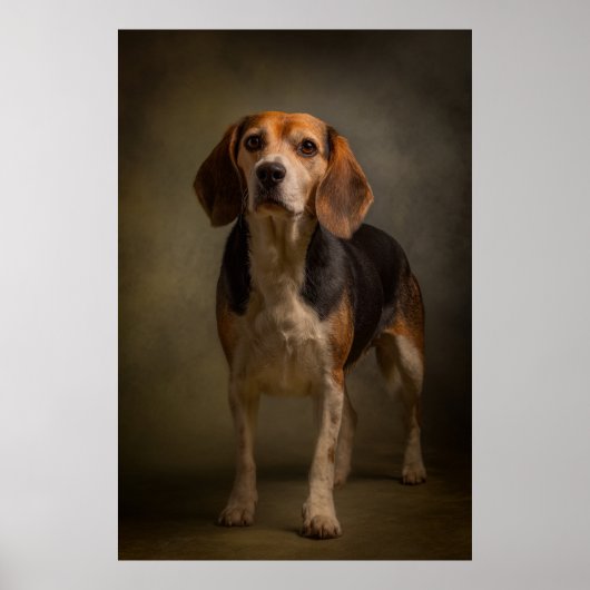 Poster Silhouette de chien élégant (Devant)
