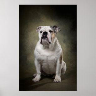 Poster Silhouette de chien élégant