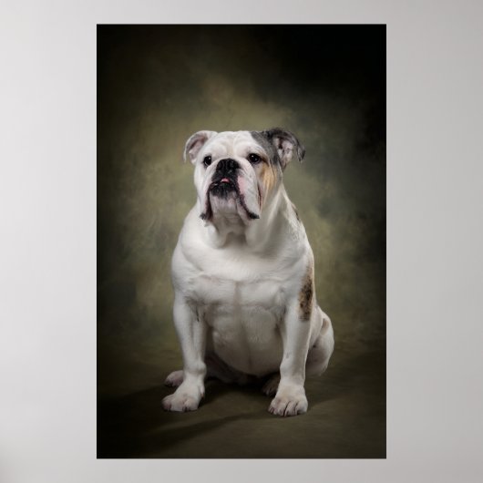 Poster Silhouette de chien élégant (Devant)