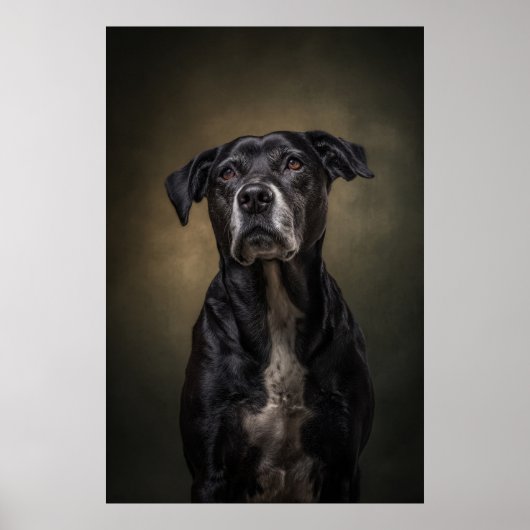 Poster Silhouette de chien élégant (Devant)