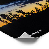 Poster Silhouette de feuilles la nuit (Coin)