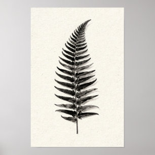 Poster Silhouette de fougère monochrome 12 x 18