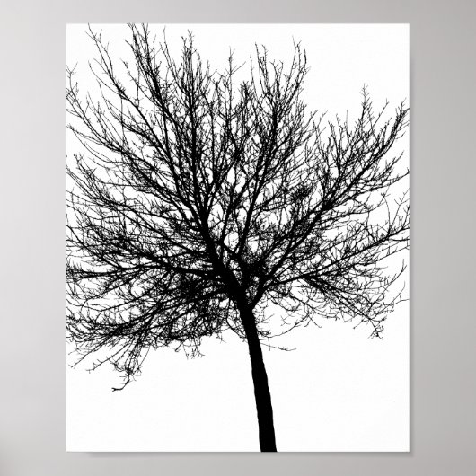 Poster Silhouette de l'arbre (Devant)