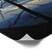 Poster Silhouette de l'arbre (Coin)