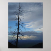 Poster Silhouette de l'arbre (Devant)