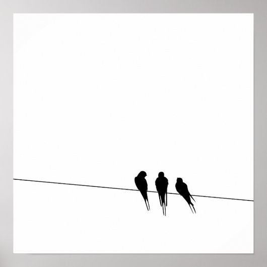 Poster Silhouette de merles sur un fil (Devant)