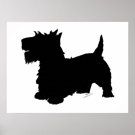 Poster Silhouette de Terrier Écossais (Devant)