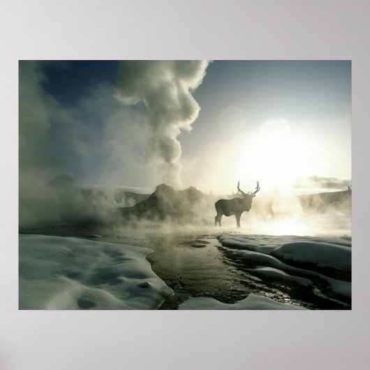 Poster Silhouette d'Elk au Castle Geyser (Devant)