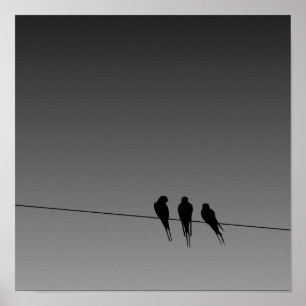Poster Silhouette des oiseaux noirs en lard sur l'affiche