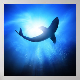 Poster Silhouette des requins de l'océan profond