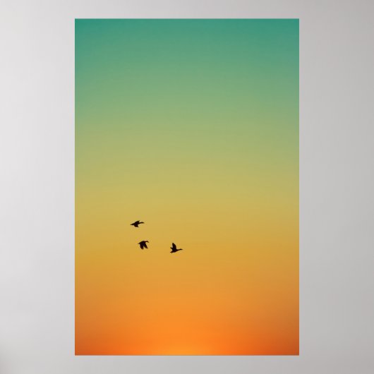 POSTER SILHOUETTE D'OISEAUX VOLANT PENDANT LE COUCHER DU  (Devant)