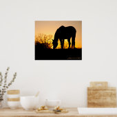 Poster Silhouette du Cheval du coucher du soleil (Cuisine)