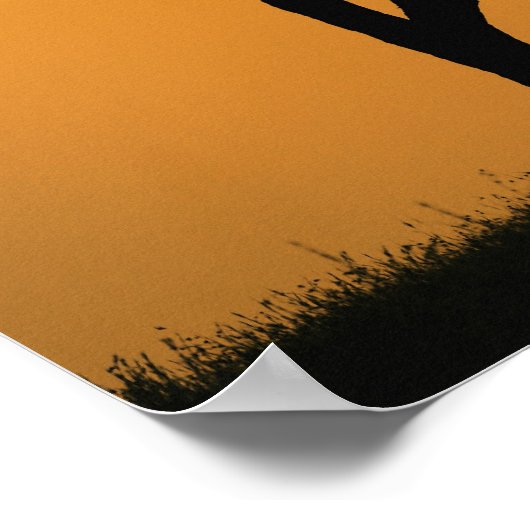 Poster Silhouette d'un seul acia au lever du soleil, Masa (Coin)