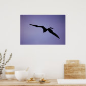 Poster Silhouette Frigatebird (Cuisine)