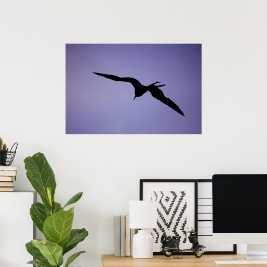 Poster Silhouette Frigatebird (Bureau à domicile)