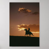 Poster Silhouette Galloping Cowboy (Devant)