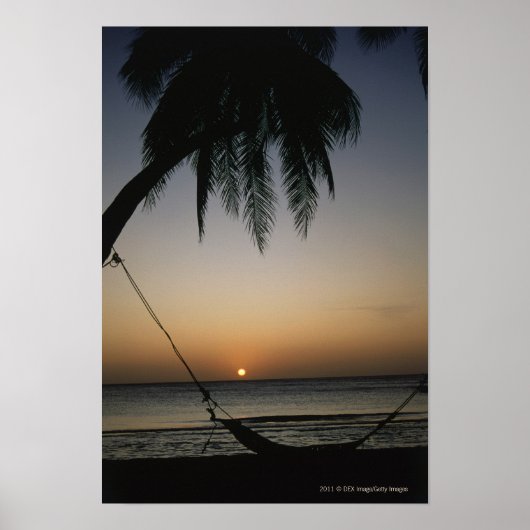Poster Silhouetté hamac vide au coucher du soleil (Devant)