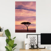 Poster Silhouette image of acacia tree at sunrise (Bureau à domicile)