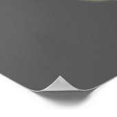 Poster Silhouette noire Adam Lightning (Coin)
