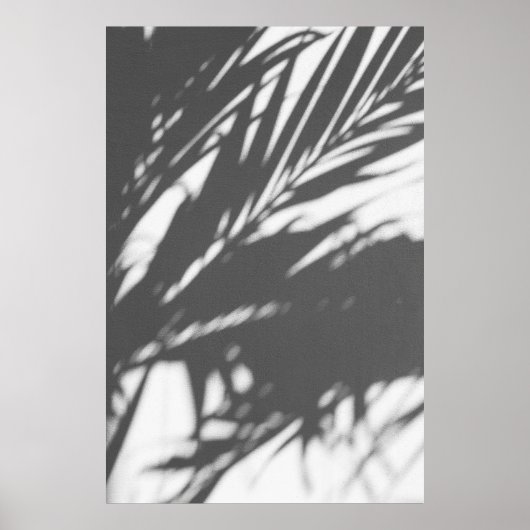 Poster Silhouette of palm tree (Devant)