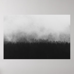 POSTER SILHOUETTE OF TREES WITH FOGS
