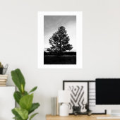 Poster Silhouette Pinyon Tree (Bureau à domicile)