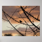 Poster Silhouette solitaire (Devant)