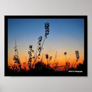 Poster Silhouettes de plantes d'été