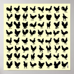 Poster Silhouettes de poulet