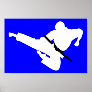 Poster silhouettes des arts martiaux