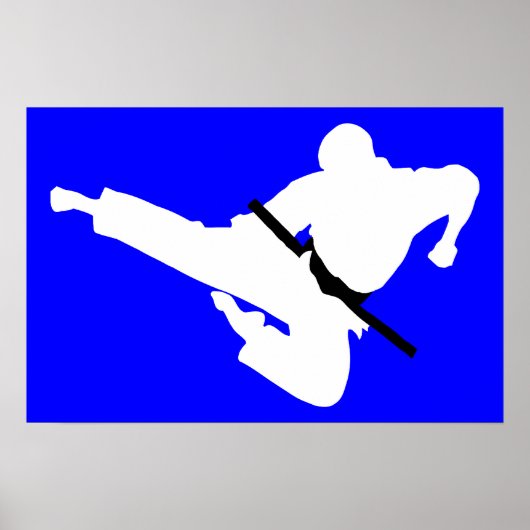 Poster silhouettes des arts martiaux (Devant)