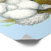 Poster Silkie Trio (Coin)