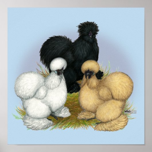 Poster Silkie Trio (Devant)