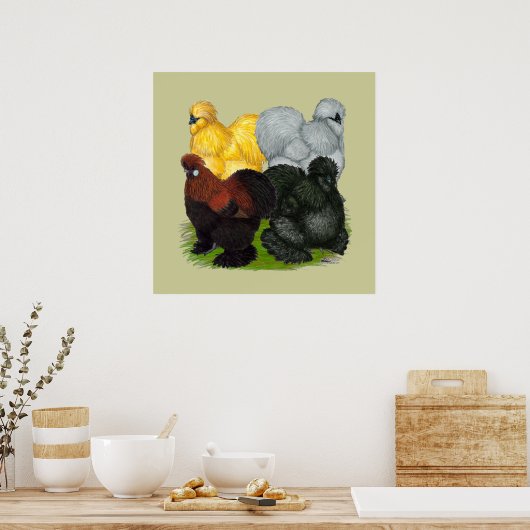 Poster Silkies : Coq Assortis (Cuisine)